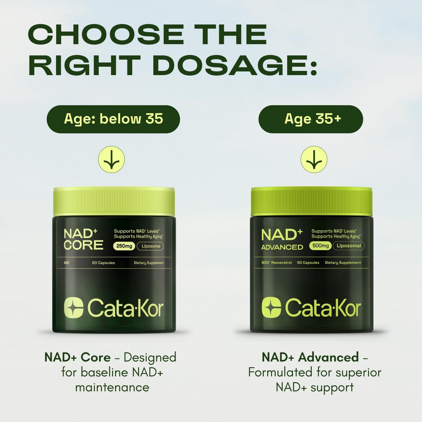 NAD+ Core - NAD Supplement - 60 Capsules