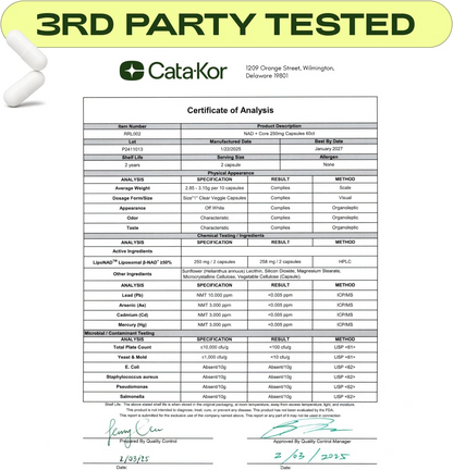 NAD+ Core - NAD Supplement - 60 Capsules